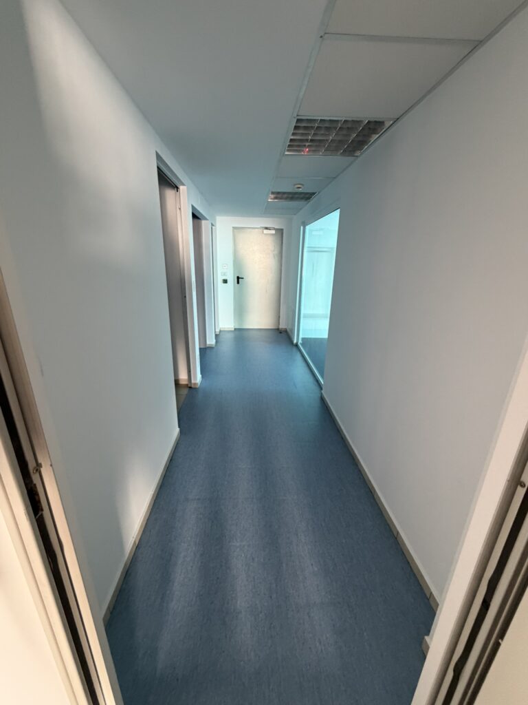 IMG 0033