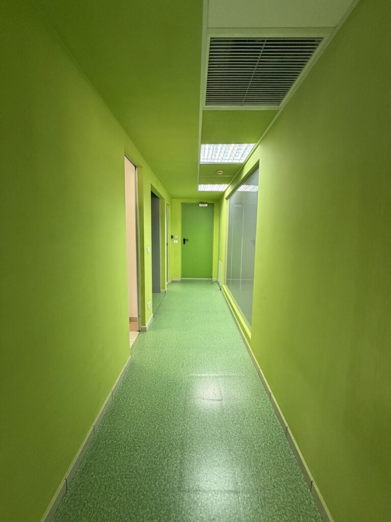 IMG 0044